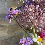 Petit Loulet Puylagarde