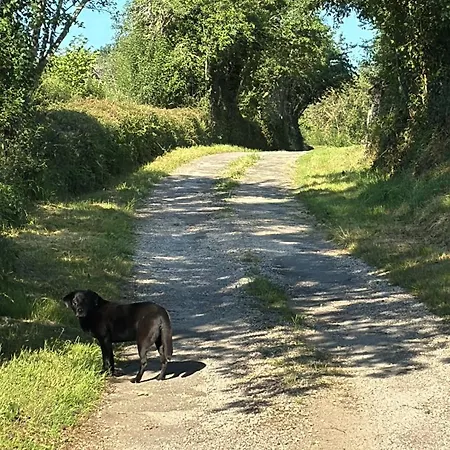 Petit Loulet Semesterbostad *